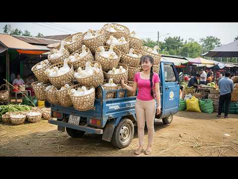 Satisfying Big Duck Harvest Goes To Village Market | DIY Duck Pen Repair