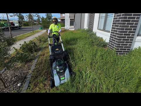 Battery Mower vs Wild Yard (Surprising Results)