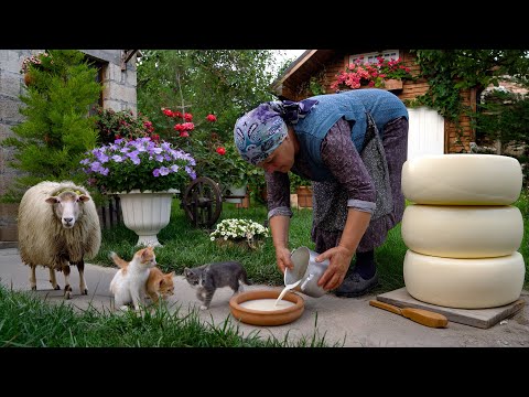 Fresh Sheep's Milk Cheese Making in Nature 🧀🐑🍃