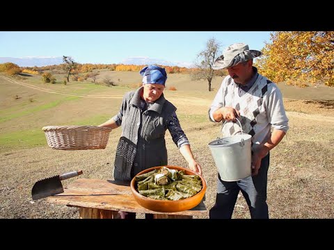 Azərbaycan mətbəxi Yarpaq Dolması və Yemişan Kompotu, ASMR food, Country Life Vlog