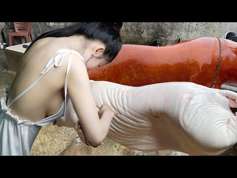 Come watch the couple roast two whole pigs daily, resulting in perfectly crispy skin.