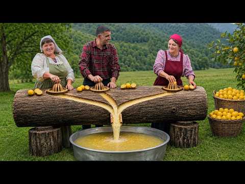 Making Lemon Juice With a Giant Wooden Press!