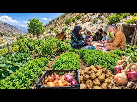 Harvesting Organic Onions and Potatoes at Jahangir Farm | An Agricultural Masterpiece You Must See!