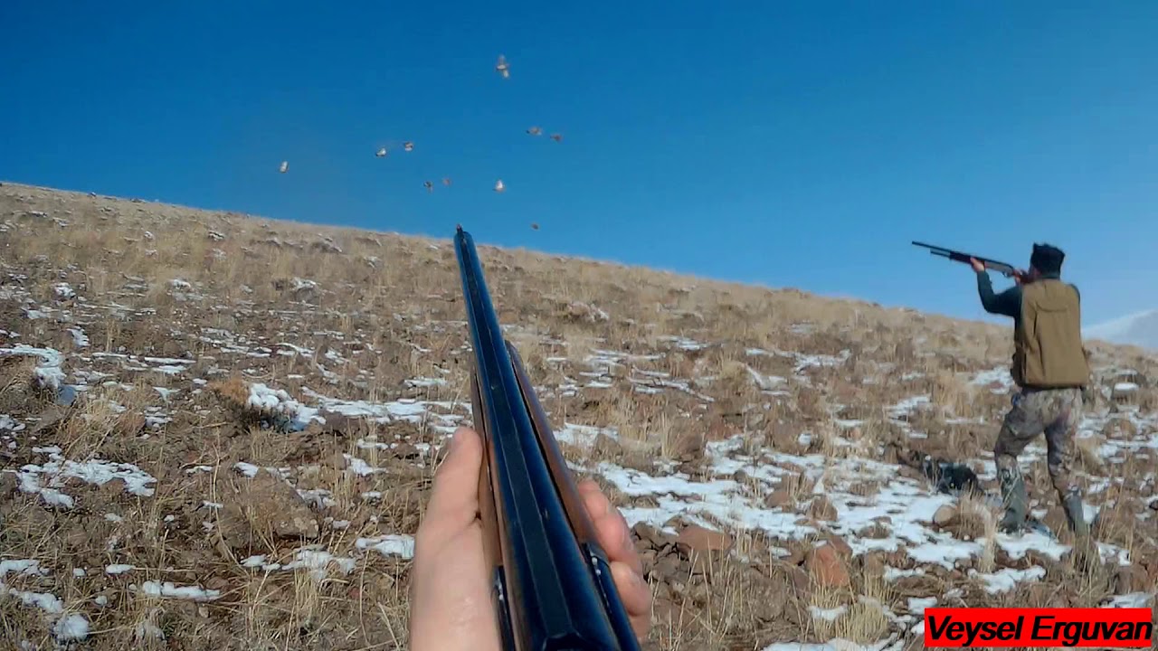 fermada keklik avı 2020🔥Chasse à la perdrix et au lapin🔥Partridge and rabbit hunts