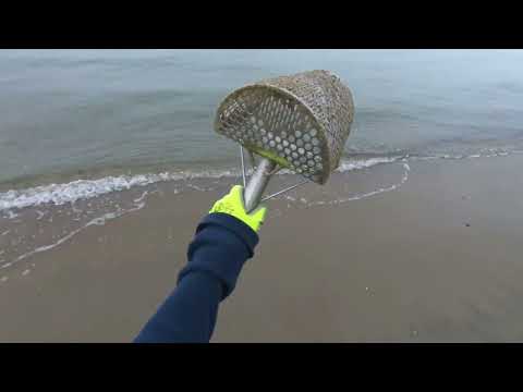 Return to Metal Detecting 2 - Ranting and Raving + 1 zinc penny
