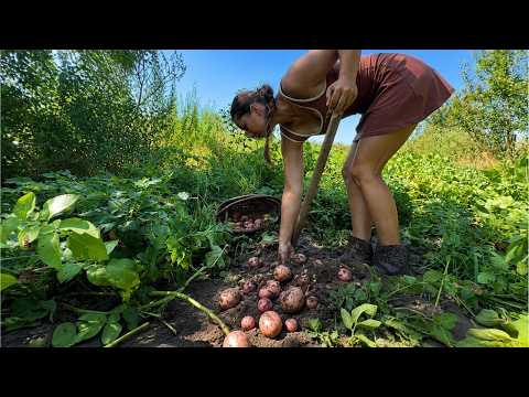 This Is What a Real Day in the Countryside Looks Like