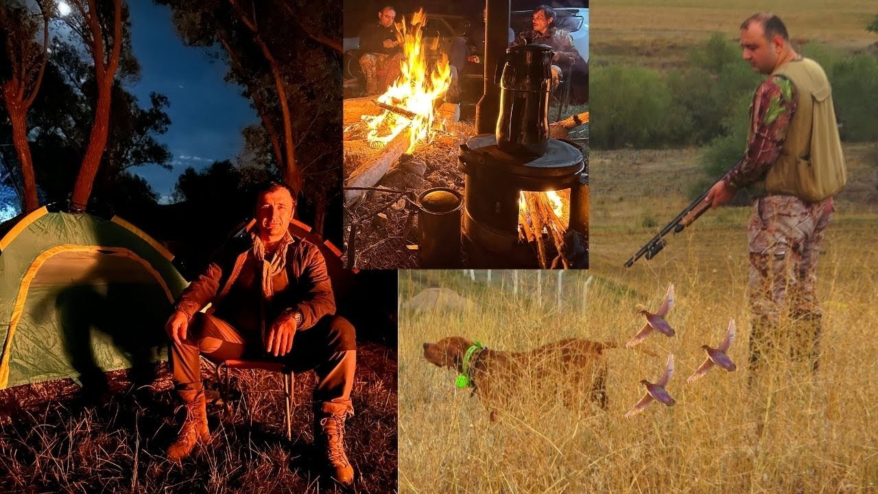 2024 YENİ SEZON BILDIRICIN AVI KAMPI🔥QUAIL HUNT🔥AV KÖPEĞİ BILDIRCIN AVI🔥İNGİLİZ POİNTER🔥KAMP🔥ÇADIR🔥