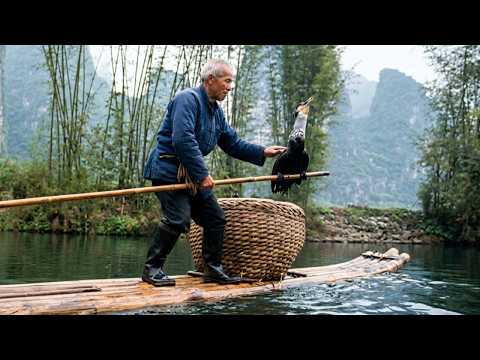 China: The last masters of Cormorant