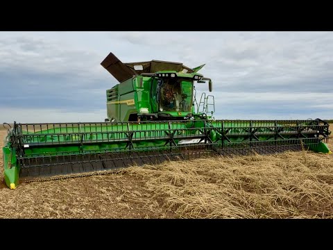 Farm update 460 The baked beans are finally harvested so the combine can be cleaned & put away