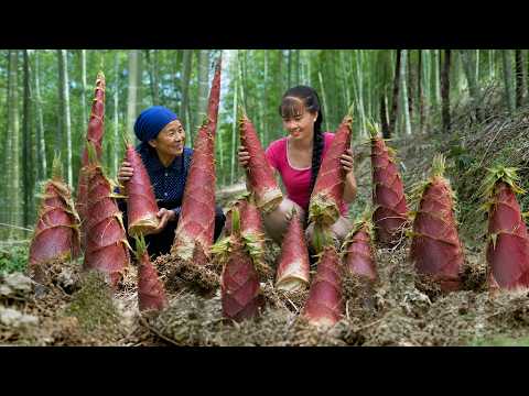 Processing 500KG Of Red Bamboo Shoots To Market Sell | Modern & Traditional Methods