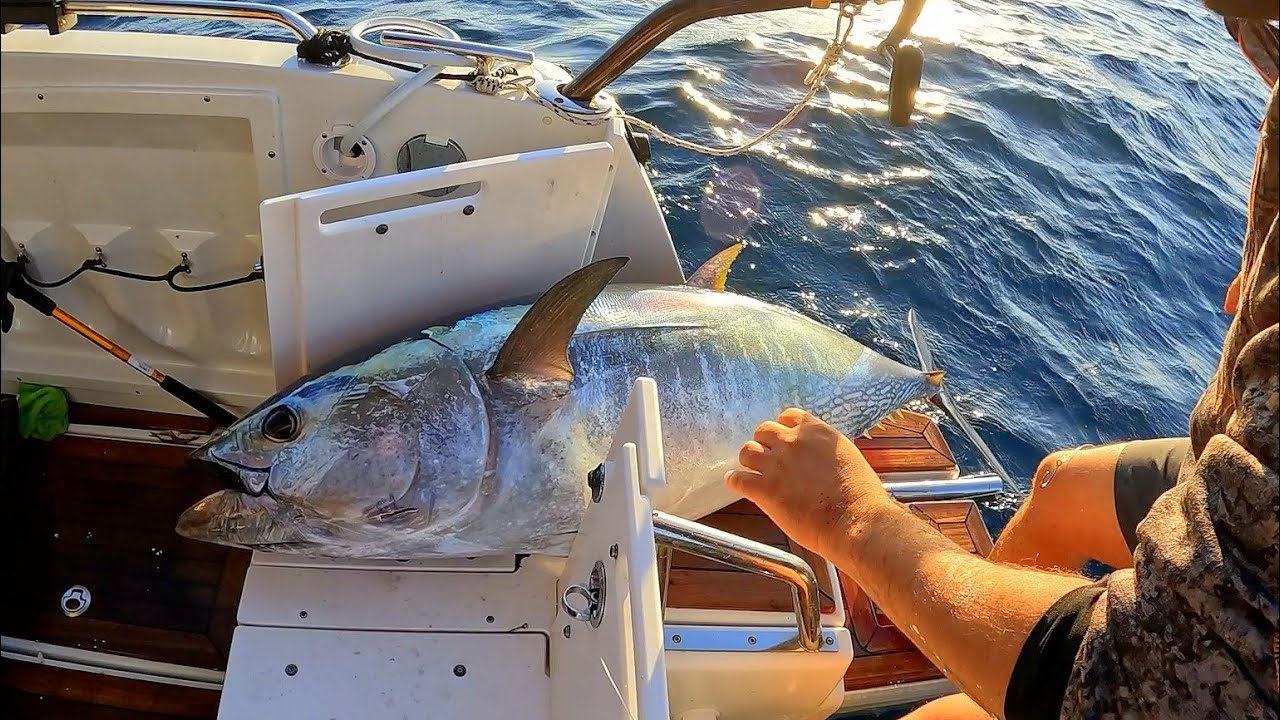 Antalya'dan Gelip Orkinosa Doydular / Crazy Bluefin Tuna Fishing