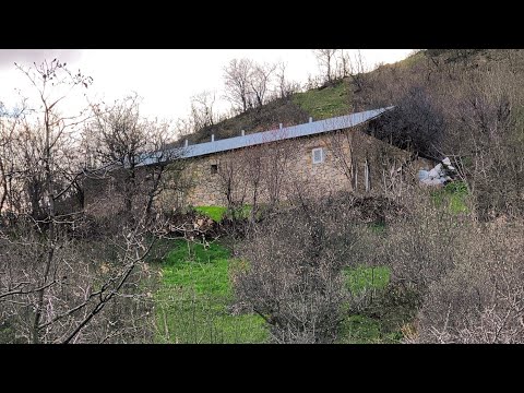 Dağ Köyünde Hayvanlarımla Aradığım Gerçek Huzuru Buldum. Köyde Yaşam