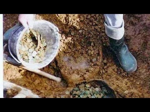 Ormanın Ortasına gizlenmiş Büyük Define !!! özel çekim #25