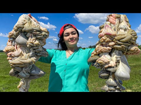 A Gastronomic Journey from Chicken to Lamb! I Cook 3 Dishes in 60 Minutes