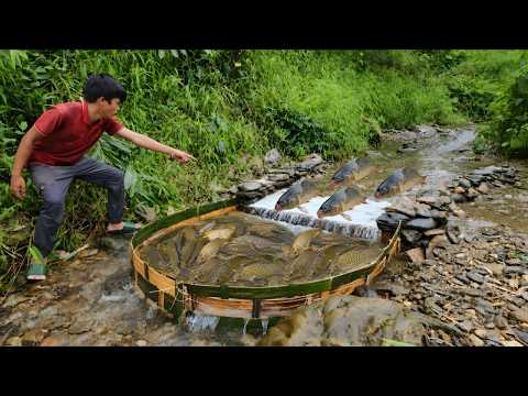 Fishing techniques using bamboo are surprisingly simple and