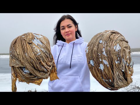 Unique Culinary Masterpieces with a Beef Stomach! A New Look at Meat