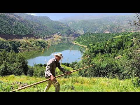 Yüksek Dağ Köyünde Tırpanla Ot Biçme | Günlük Köy Hayatı ve Hayvan Sevgisi.