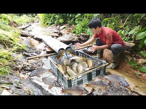 Fishing techniques using bamboo are surprisingly simple and