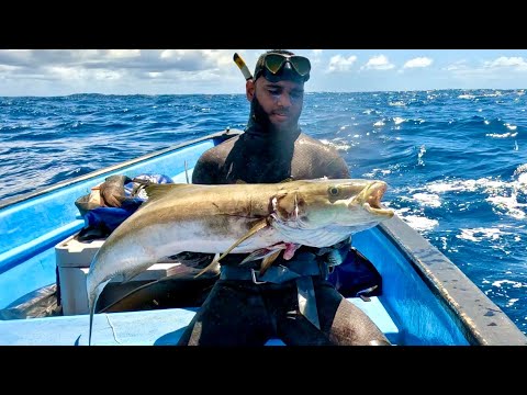 Spearfishing Trinidad's Deep Offshore reefs | Cobia Catch Clean Cook