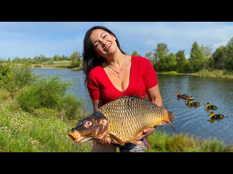 A Big Catch and a Great Taste of Carp for 10 Kg! The Most Delicious Dishes