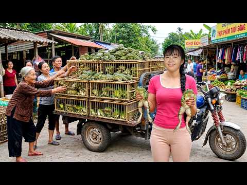 Buying A Huge Load Of Frogs From Farmer Woman | 3-Wheeled Truck Transport To Market