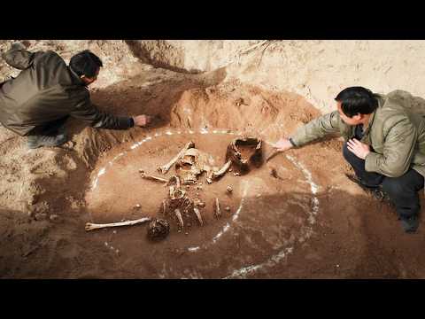 China’s Origins - Xia Dynasty (2070 - 1600 BC)