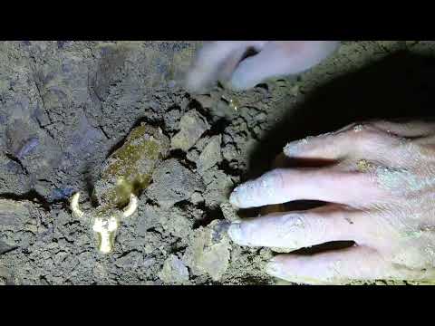 I Found 4 Apple Watches, 5 Phones and a GoPro Underwater in the River! (Scuba Diving)
