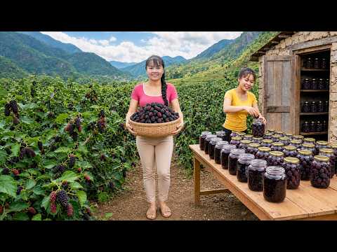 Harvesting Mulberries from a Thriving Garden | Village Market & Making Sweet Syrup