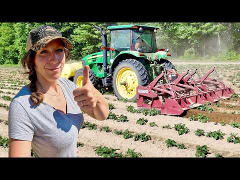 We Finally Start Hilling Potatoes! 2026