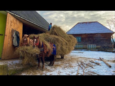 Life in the remote villages of Transylvania | Far from civilization