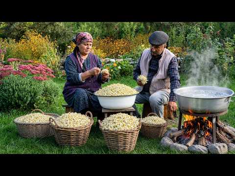 Chamomile Harvest – Preserving Summer for Winter 🌼🍃