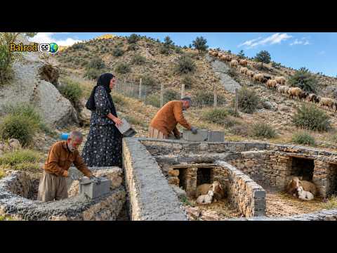 🐑 Nomadic Maternity Ward: Why Did Jahangir Build Solitary Confinement Cells for Ewes?