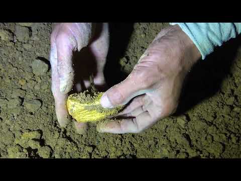 Helping the Police Find a Gun Underwater to Solve a Criminal Case! (Metal Detecting Underwater)