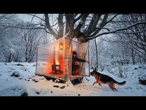 Winter Survival: Wrapping a Tree with Plastic to Stay Warm