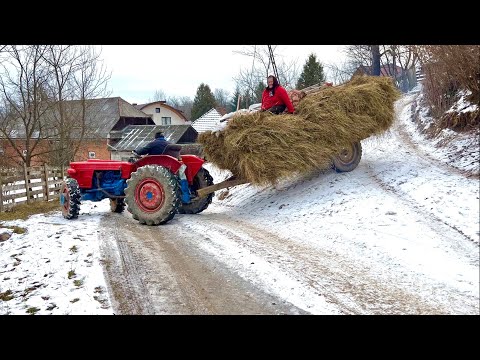 How do people live in the Carpathian Mountains? Romanian countryside