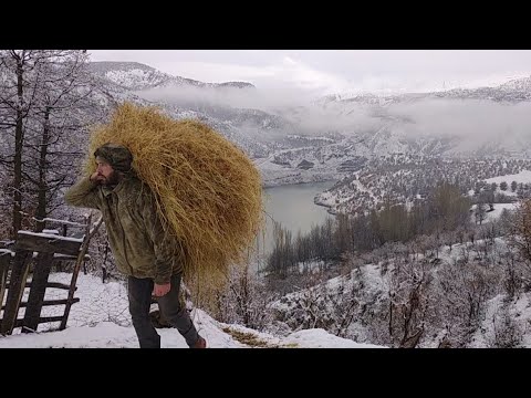 Kışın köyde yaşamanın getirdiği hayat mücadelesi❄️❄️Struggle for life in the village#köyhayatı
