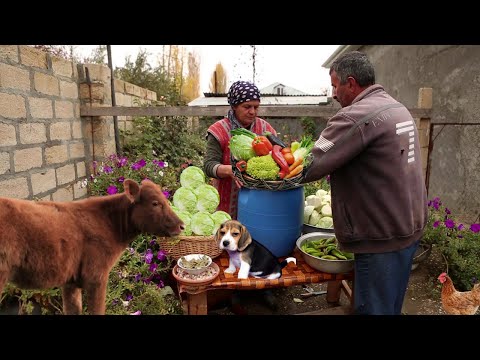 Qış Tədarükü Kələm Turşusu və Azərbaycan Xəngəli, ASMR food, Outdoor Cooking