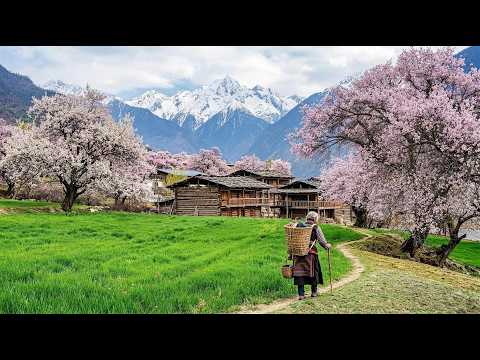 藏在怒江大峡谷里的世外桃源：只能通过悬索桥进入【4K】