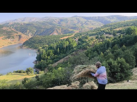 Yüksek Dağ Köyünde Emek Ve Sevginin Gücü. Babamla Kışa Hazırlık.