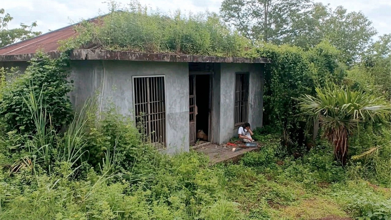 Volunteers Transform Old Lady’s Overgrown House for Free | by @CleanupRelax