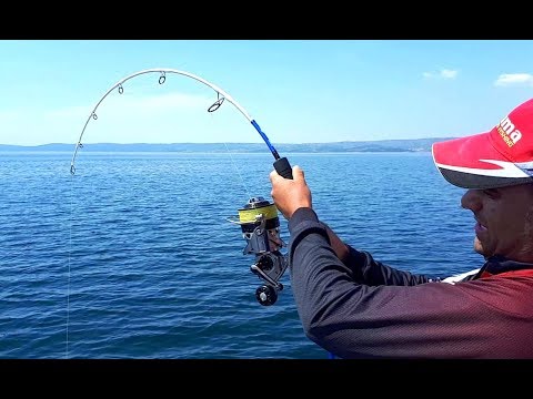 Dev Orkinosla 27.5 Saat Mücadele / 27.5 Hour Fight With Giant Tuna
