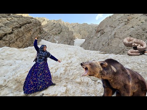 ❄️ 🕊️🌈 A mysterious colorful bird in the mountains: Kulthum in danger from bears and snakes 🐻🐍