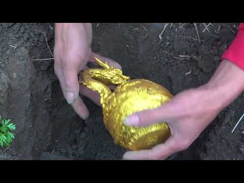 Found 5 Explosive Devices Underwater with the U.S. Navy! (Bomb Squad Called)
