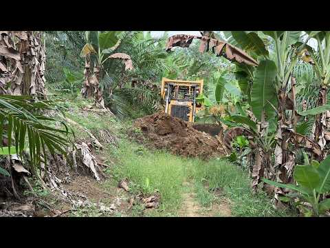 Road Service in Oil Palm Plantation Bulldozer D6R XL Works Well