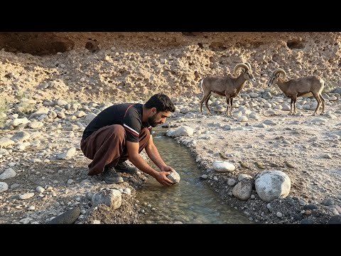 Reviving a Dead River: Finding Hidden Water & Restoring the Flow for All Life