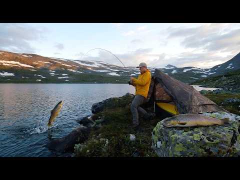 Solo Camping and Fishing at a Remote Mountain Lake | Catch & Cook