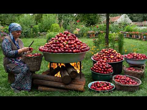 Cooking with Fresh Nectarines | Jam, Juice & Rustic Pie 🍑🌿