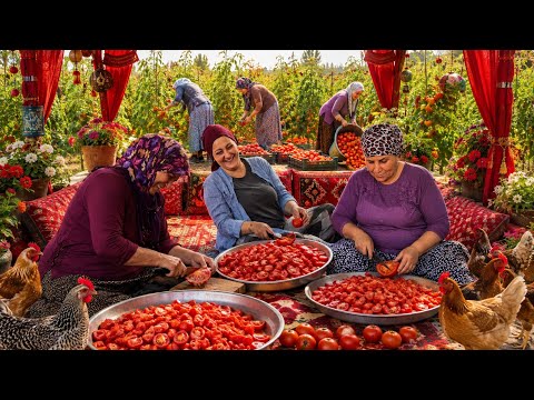 Köy Hayatı İlk Domates Hasadı Ve Salça Konserve Yapımı | Kış Hayatına Hazırlık | Belgesel Flim 4K