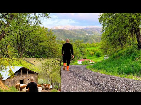 Köyde Yalnızlıkla Başlayan Hayatım, Sevgi ve Mutlulukla Büyüyen Bir Hayvan Ailesine Dönüştü.