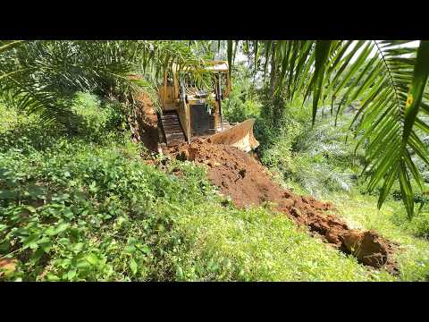 D6R XL Bulldozer Working on Building a Road in a Palm Oil Plantation